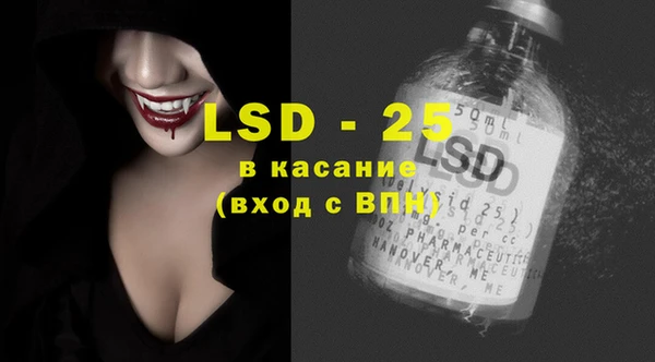 ГАЛЛЮЦИНОГЕННЫЕ ГРИБЫ Абаза