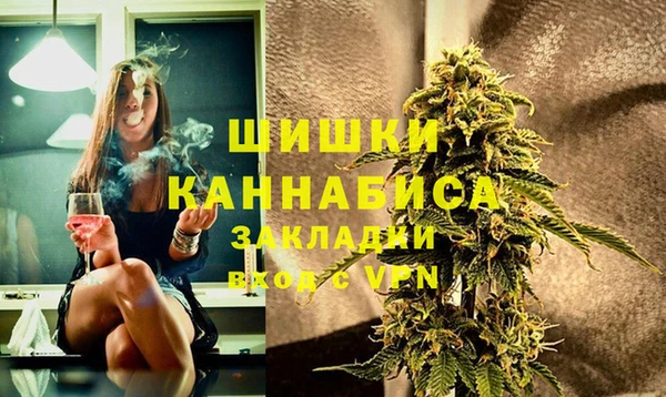 ГАЛЛЮЦИНОГЕННЫЕ ГРИБЫ Абаза