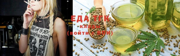 дмт Алзамай