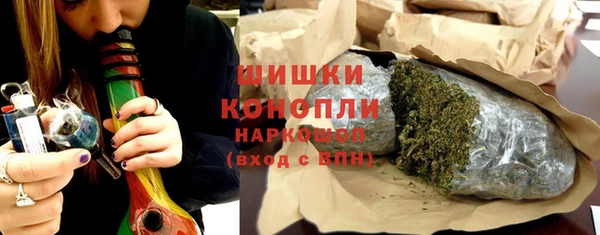 ГАЛЛЮЦИНОГЕННЫЕ ГРИБЫ Абаза