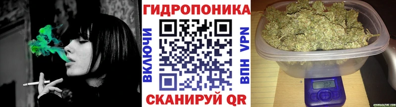 Канабис сатива что такое наркотик Вытегра